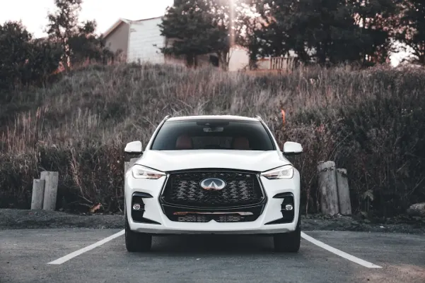 Kasino Royal Panda Android/iOS Sovellus